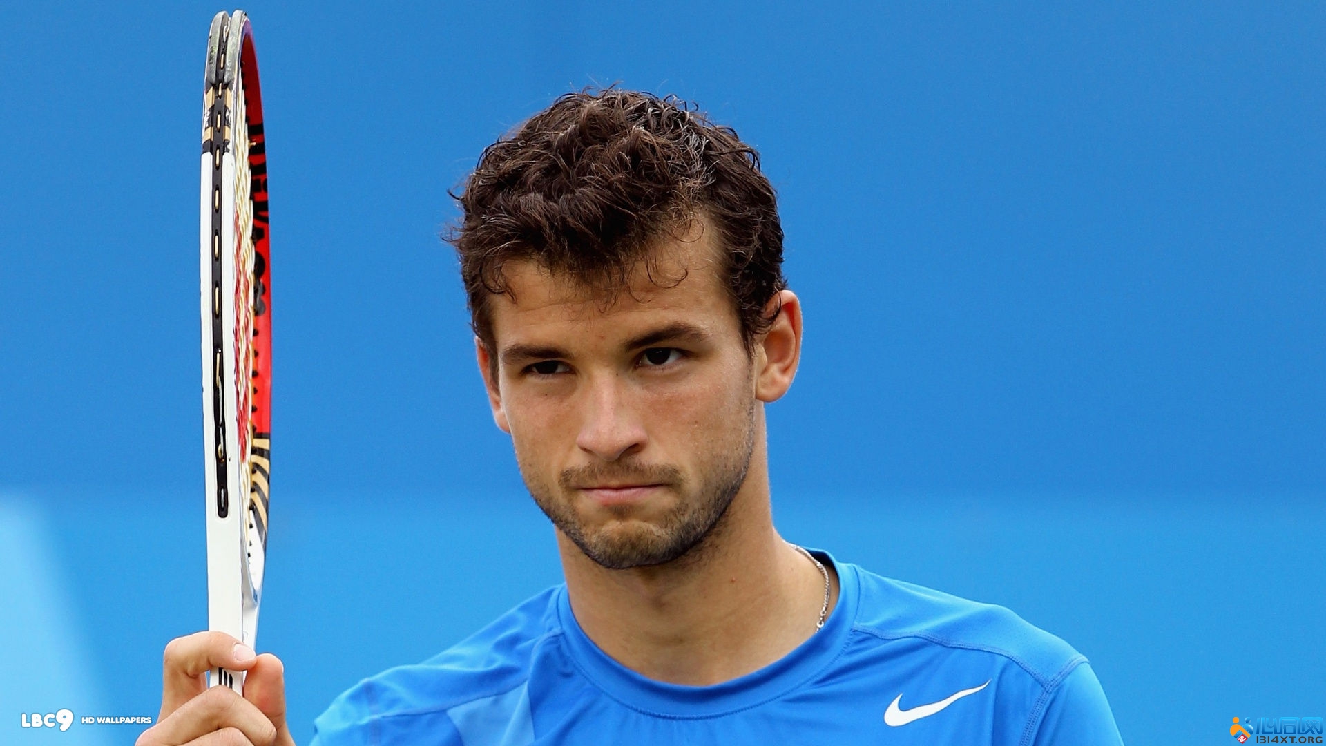 强调团队协 强调团队协