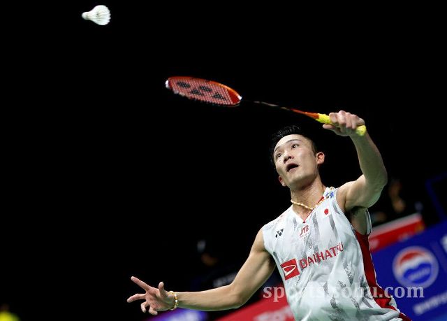 无论是新晋 无论是新晋