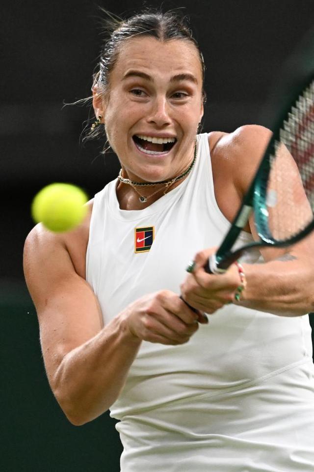 AI智能体 AI智能体